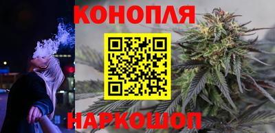 стафф Берёзовский