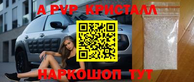 стафф Берёзовский