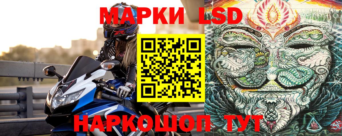 Благодарный  Наркотические марки 1,8мг  Вход с VPN  наркотики  Наркотические марки 1,8мг 