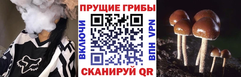Галлюциногенные грибы мицелий  Благодарный 