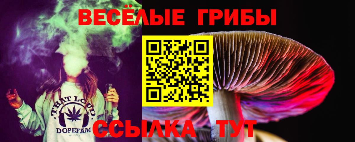 Благодарный  Галлюциногенные грибы прущие грибы  где купить наркоту  Вход с VPN 
