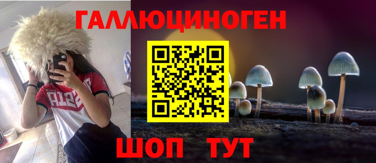 Галлюциногенные грибы ЛСД  Благодарный  Псилоцибиновые грибы мицелий 