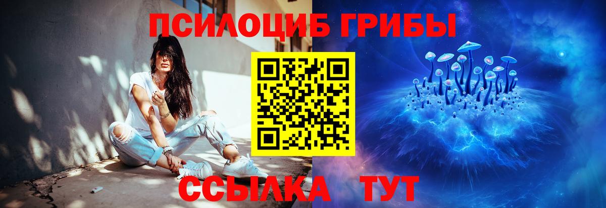 Псилоцибиновые грибы Psilocybe Благодарный