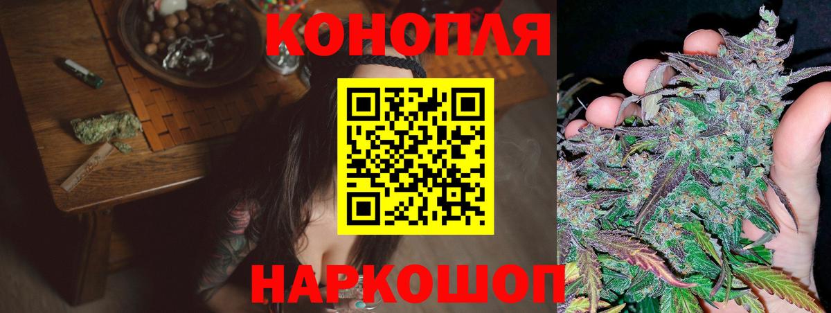 Бошки марихуана семена  Канабис Amnesia  Шишки марихуана VHQ  Благодарный 